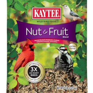 Kaytee Nut & Fruit Wild Bird Seed, 5 lb
